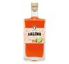 SALINÈ